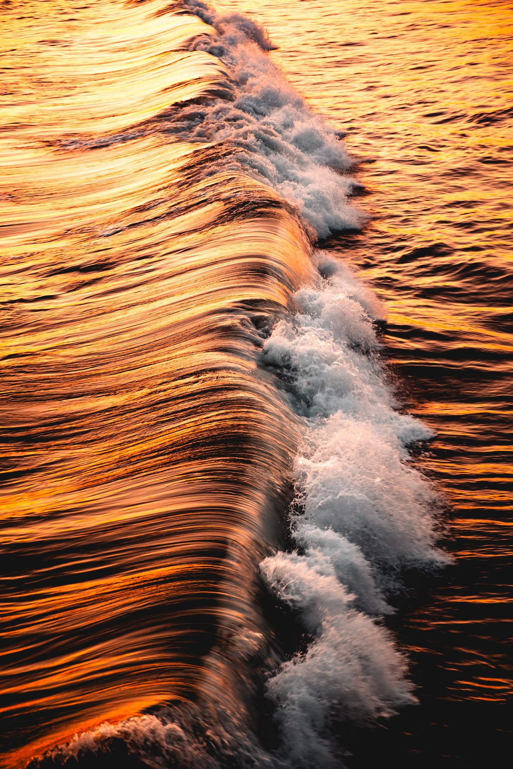 LongneckerPrints-goldwave-1.jpg