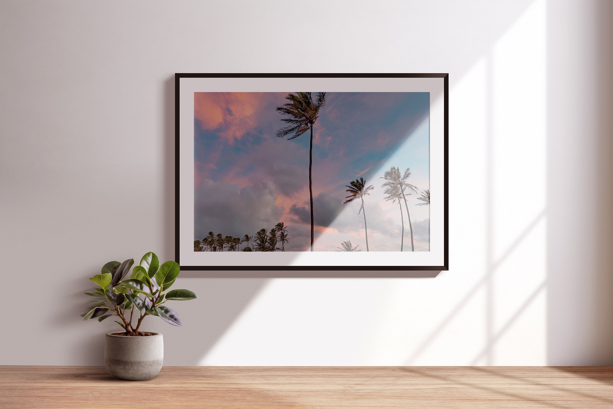 LongneckerPrints-kauai-1-c.jpg