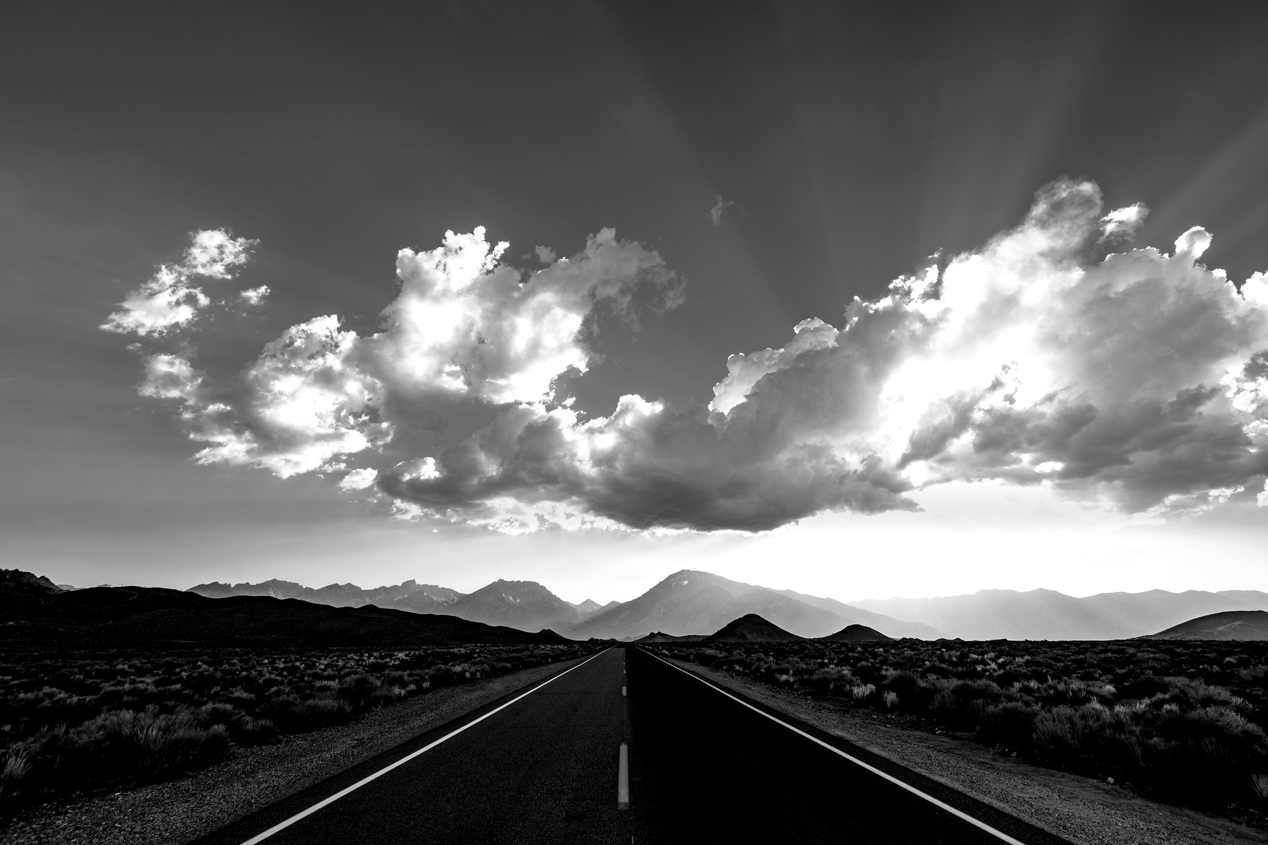 LongneckerPrints-bishoproad-4.jpg