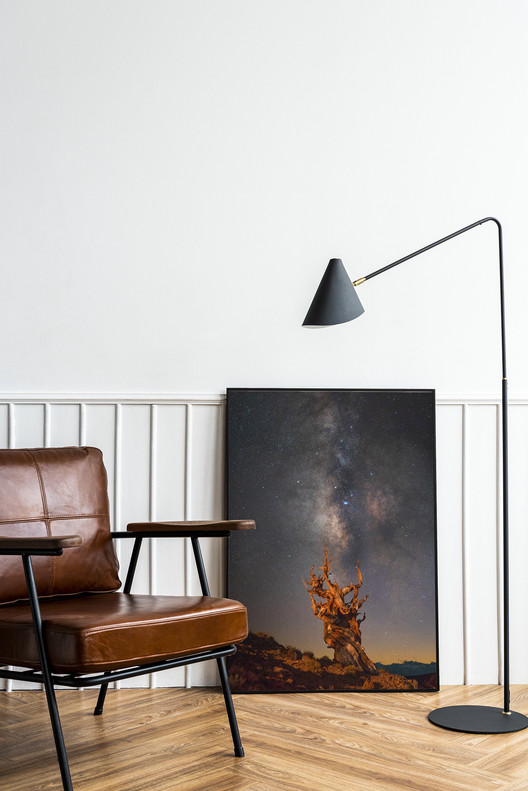 LongneckerPrints-methusela-1-c.jpg