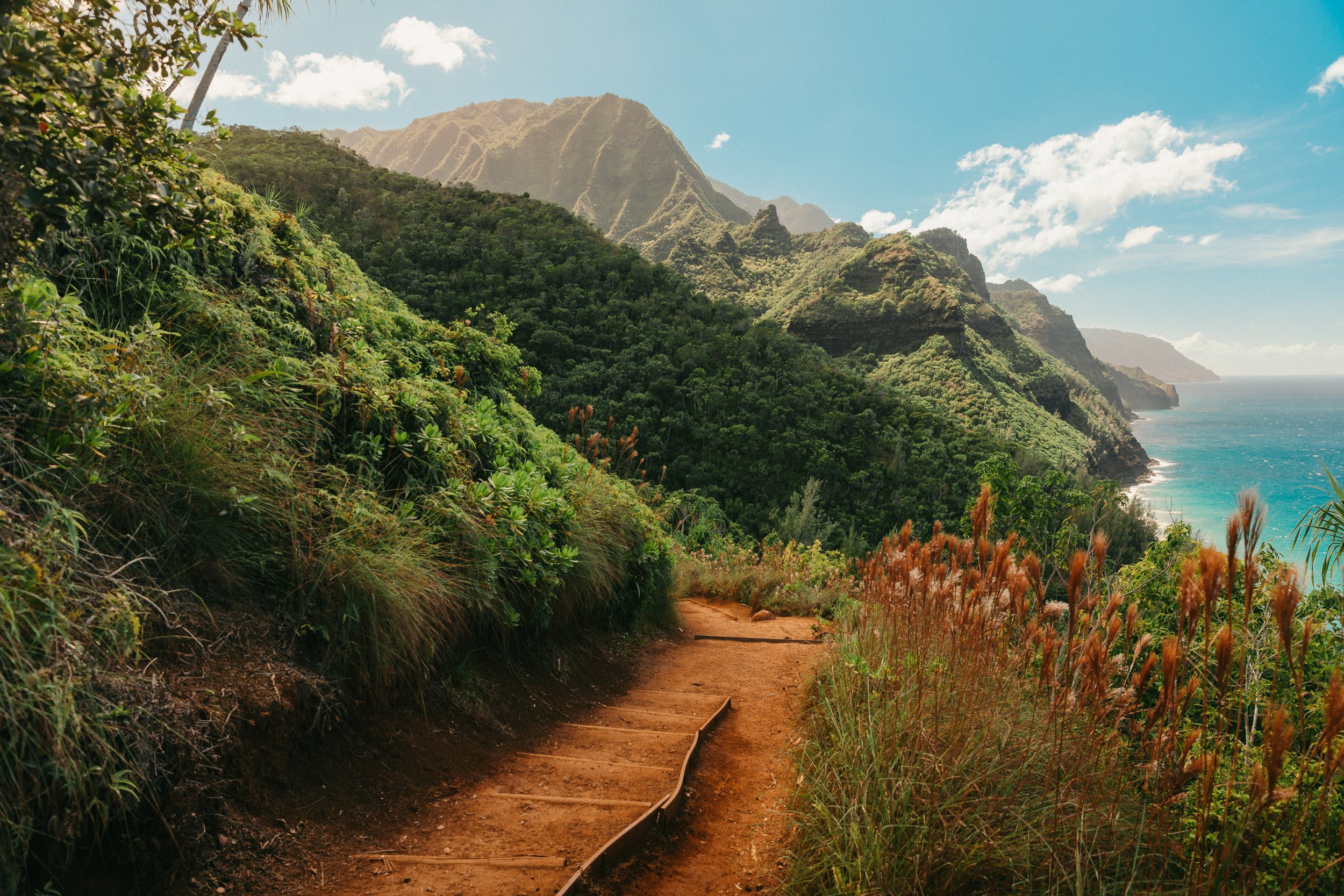 LongneckerPrints-Napali-1.jpg
