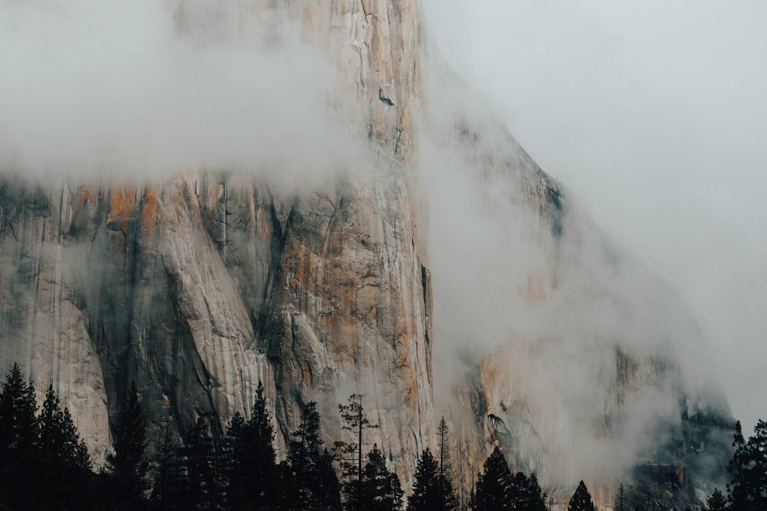 LongneckerPrints-ElCap-1.jpg