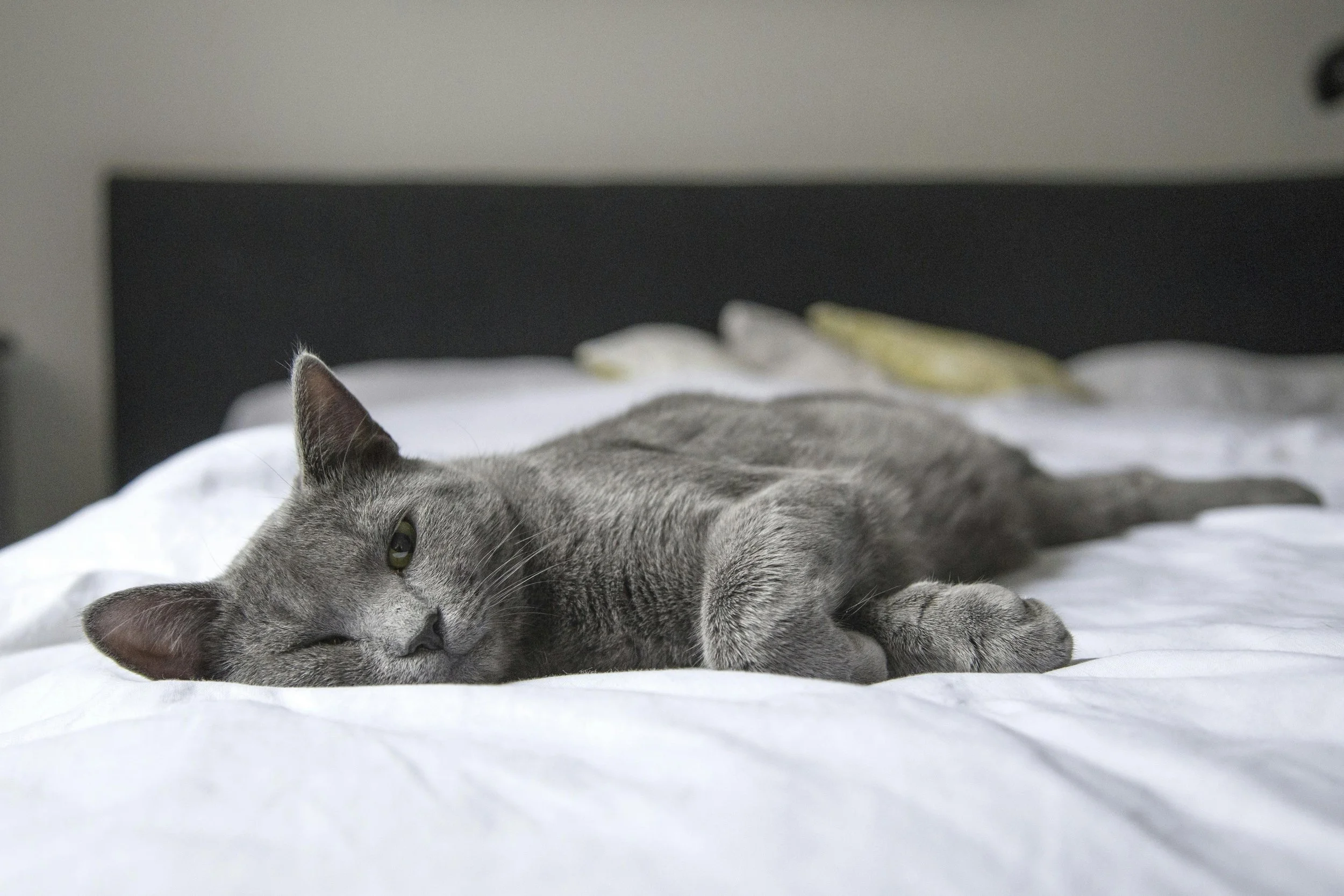 It’s Okay to Rest