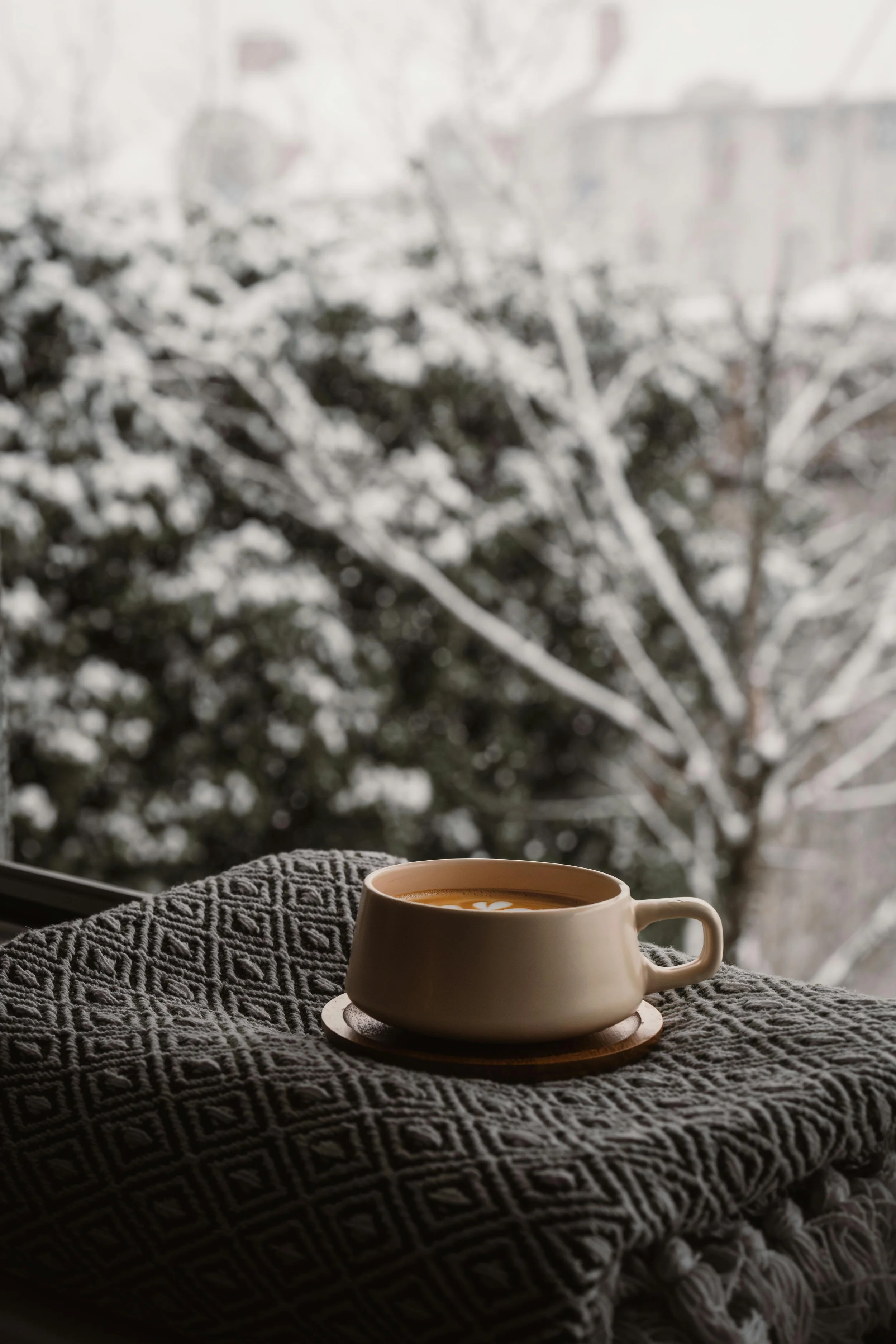 25 Winter-Themed Writing Prompts to Spark Your Creativity This Season
