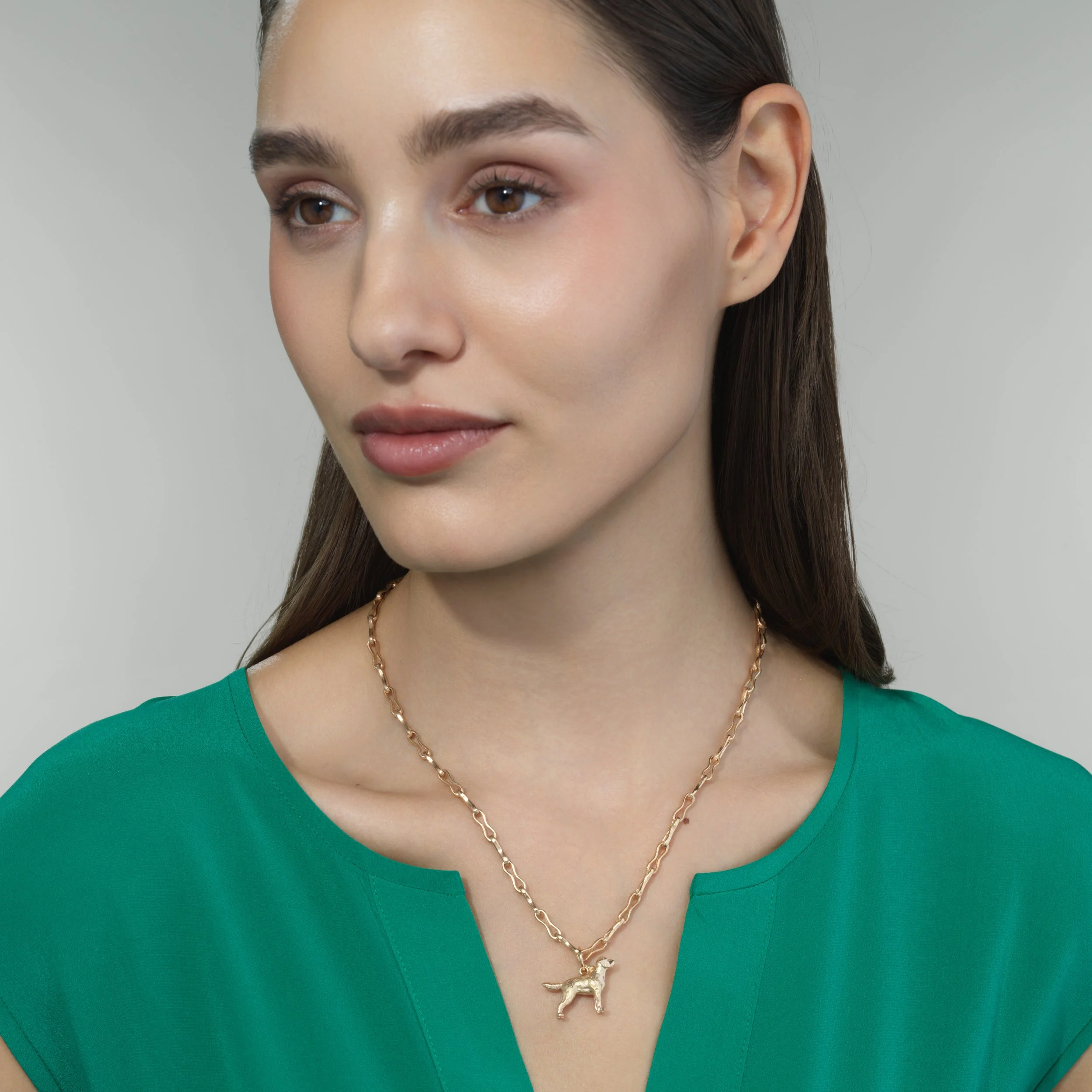 IK_0235 labrador.jpg