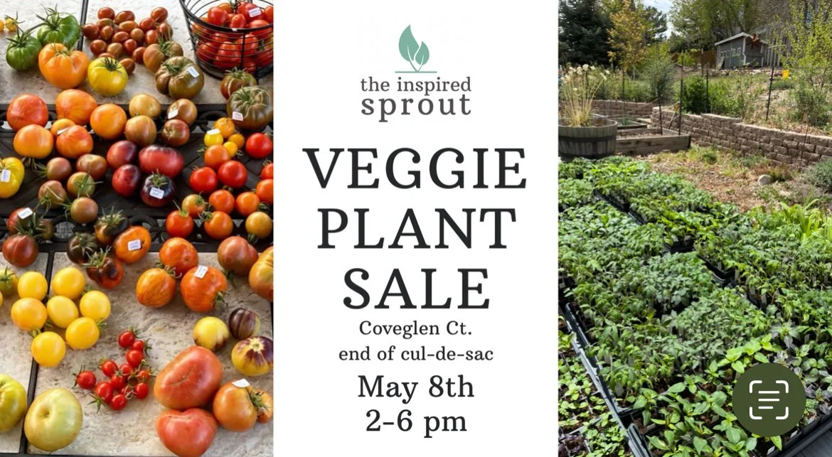 Pop-up Veggie Plant Sale