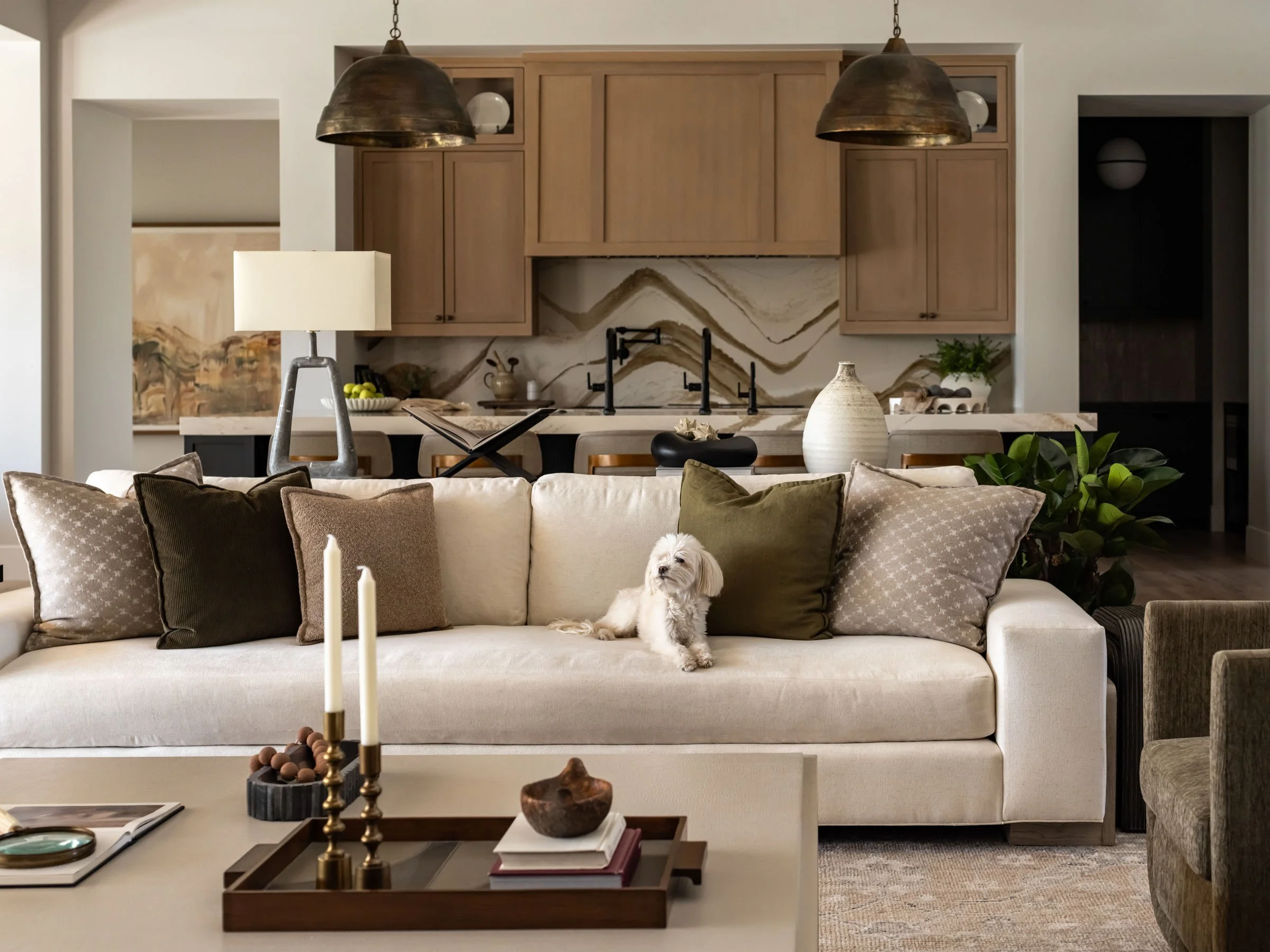 Ciseks_Greatroom_8045RR.jpg