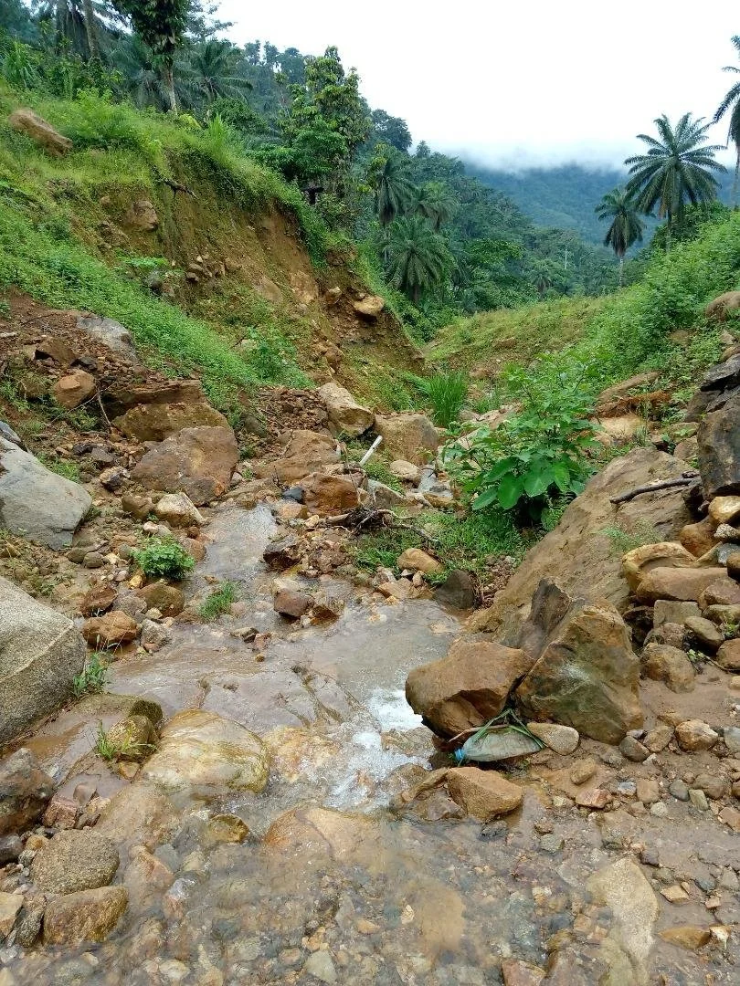 The gully