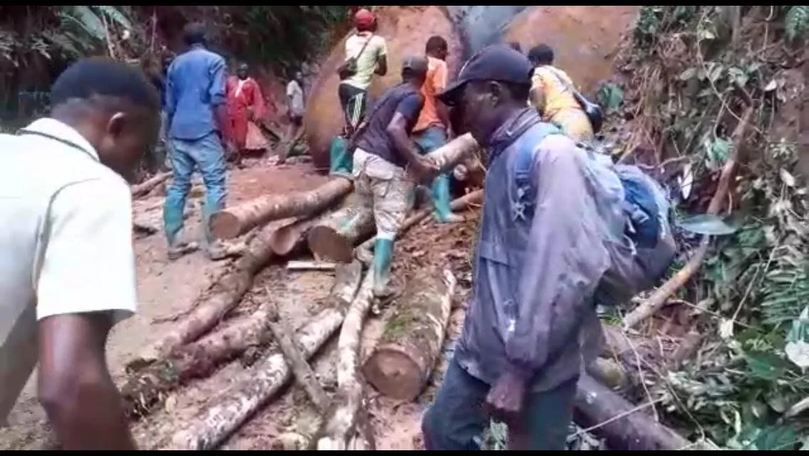 No Equipment