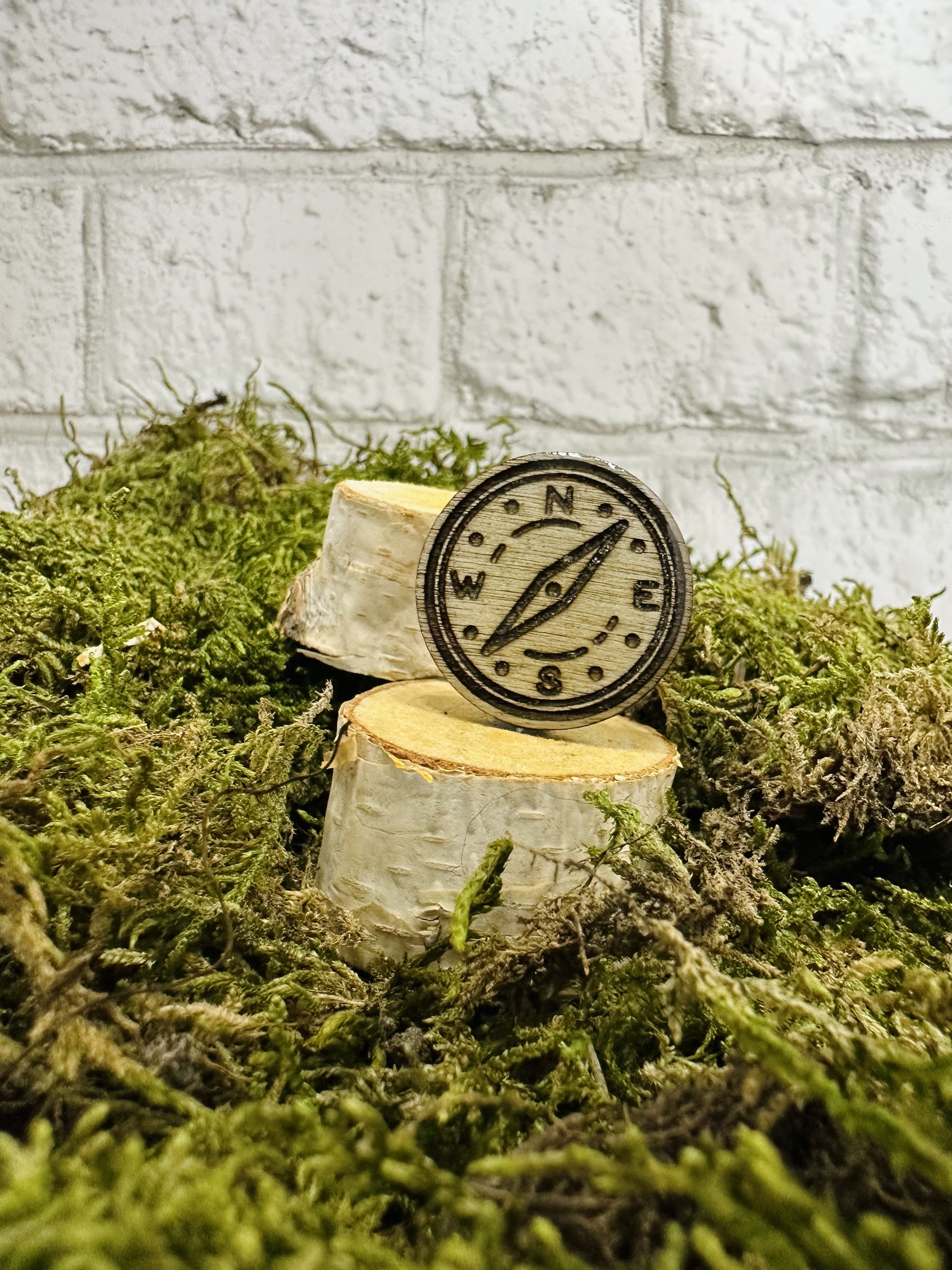 Compass Pin