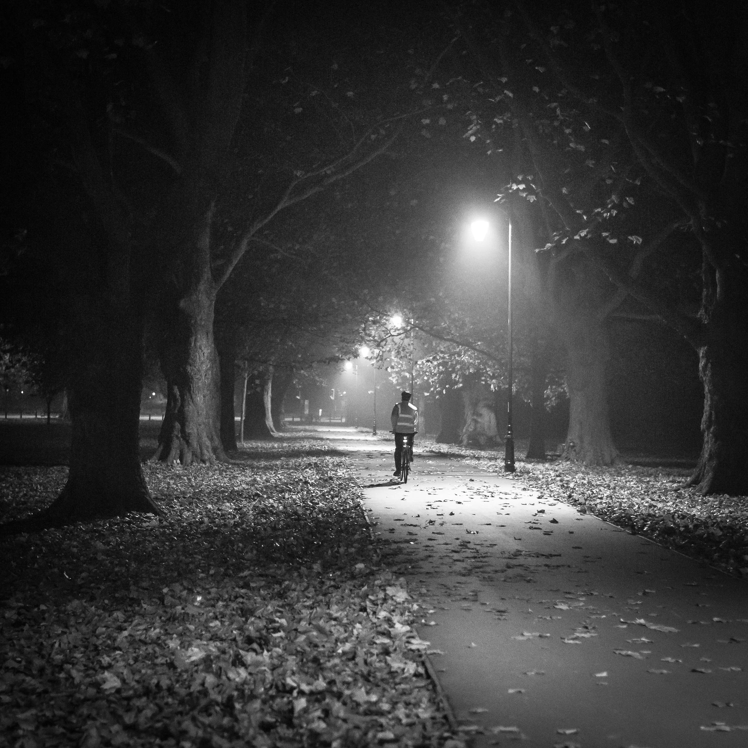 A person riding a bicycle along a dimly lit park pathway at night, with fallen leaves on the ground and trees overhead.