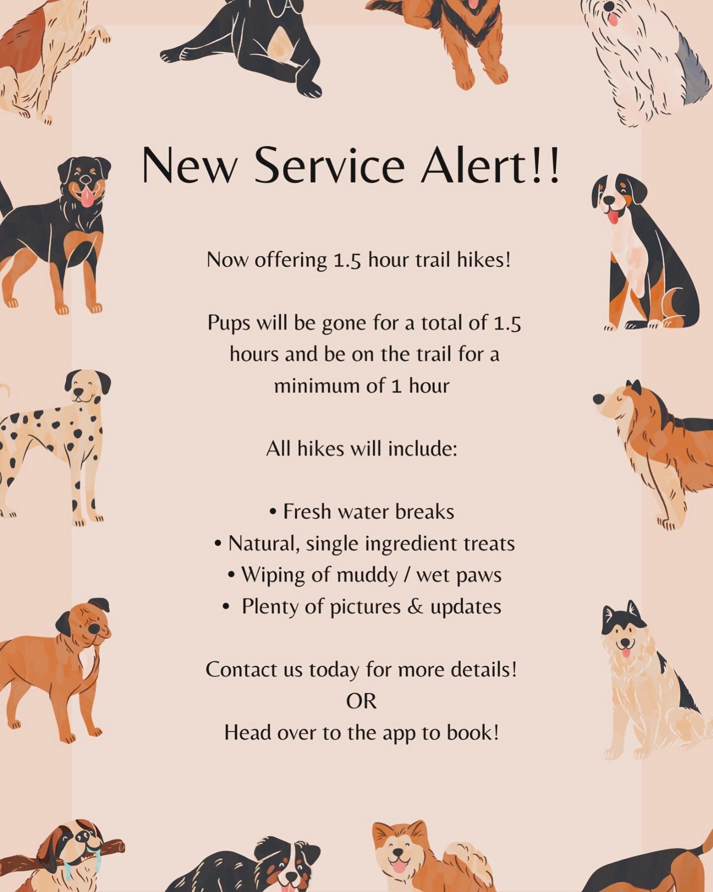 New Service Alert! ♡ Trail hikes are now being offered ! 𖠰

#oshawadogs #whitbydogs #oshawadogwalking #whitbydogwalking #doghikes #ajaxdogwalker #oshawapetsitting #lovemyjob #dogwalkersofinstagram #petsittersofinstagram #oshawasmallbuisness