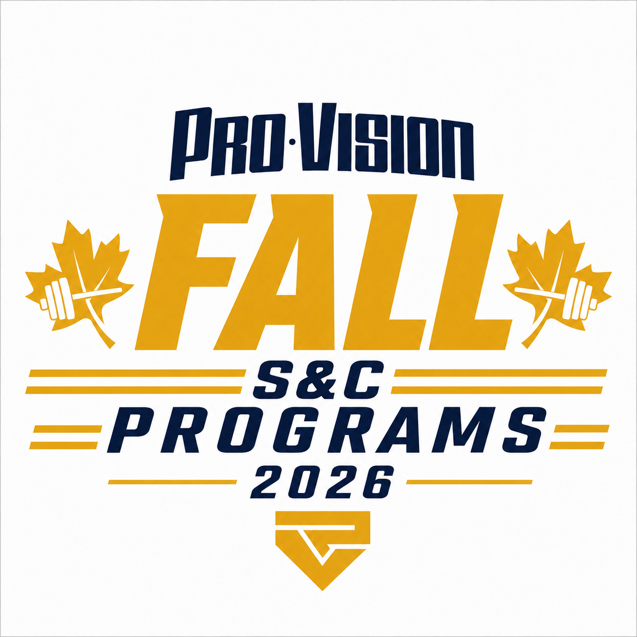 Strength & Conditioning Baseball Program