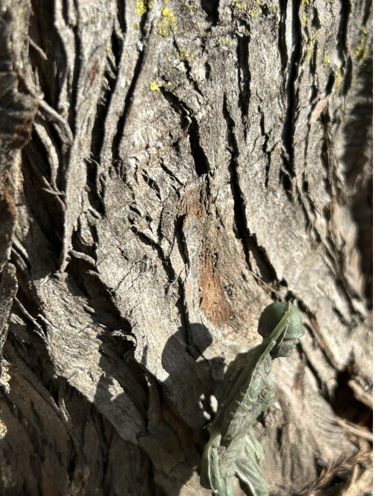 Naomi Warren, Spring 2024