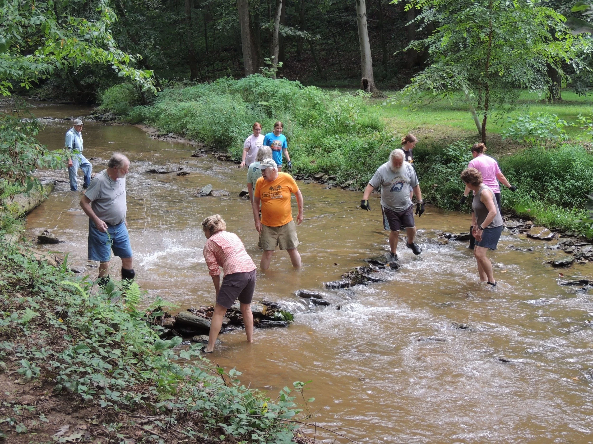People standing in creek, surrounded by greenery