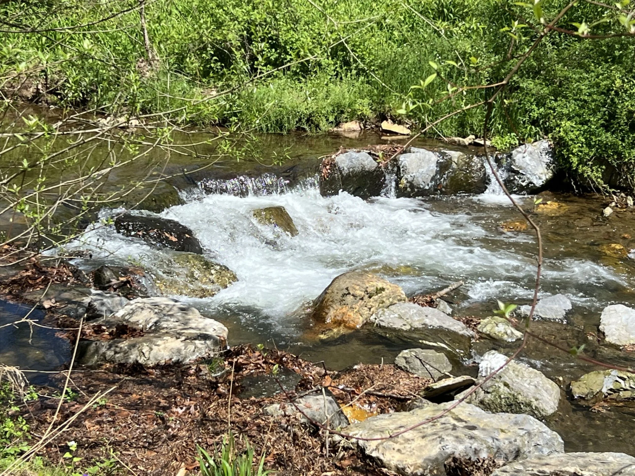 Rushing creek water over rocks