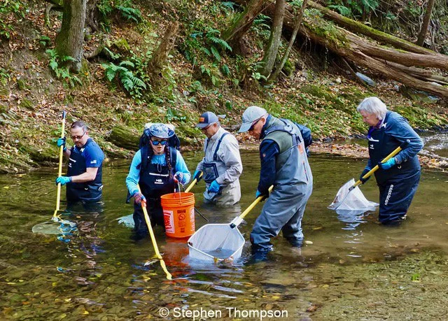People standing in deep creek with nets and buckets