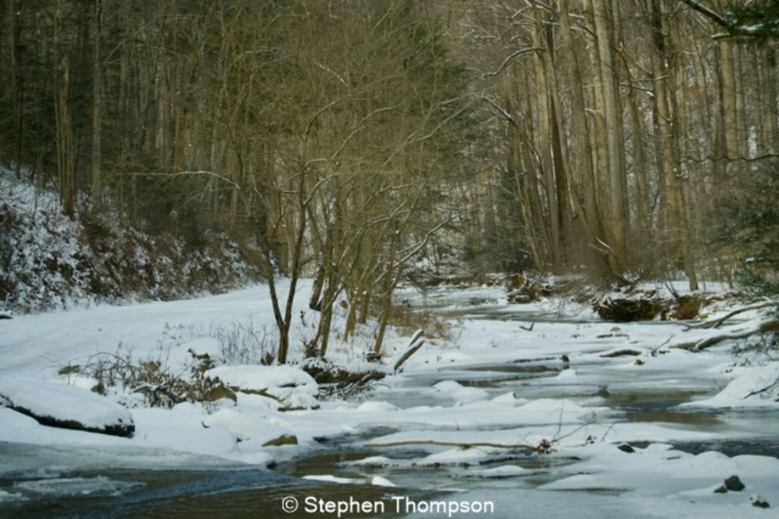 Frozen, snowy creek in woods