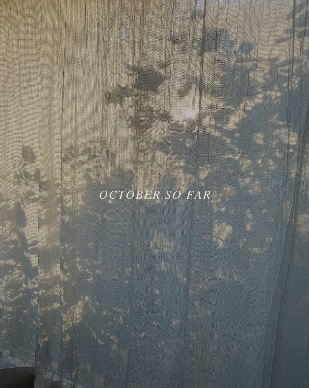 october so far&hellip;

candlelit tables
sniffs and smells
good days
slow days
beautiful light days
and looking out into the future days.
somehow the month is still going.

Come find us 👇🏽

Broad Avenue Arts (our first time on Broad this year!)

🗓