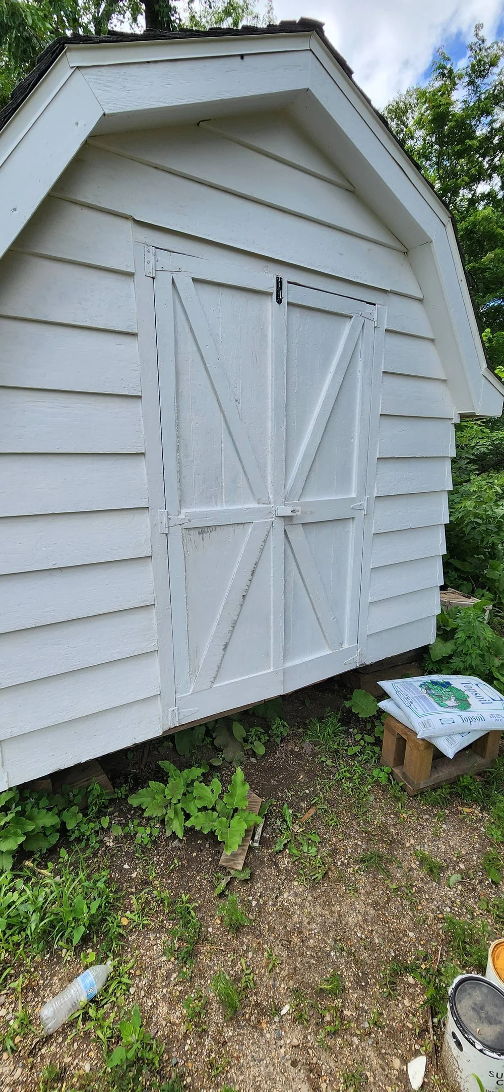 Shed 3.jpg