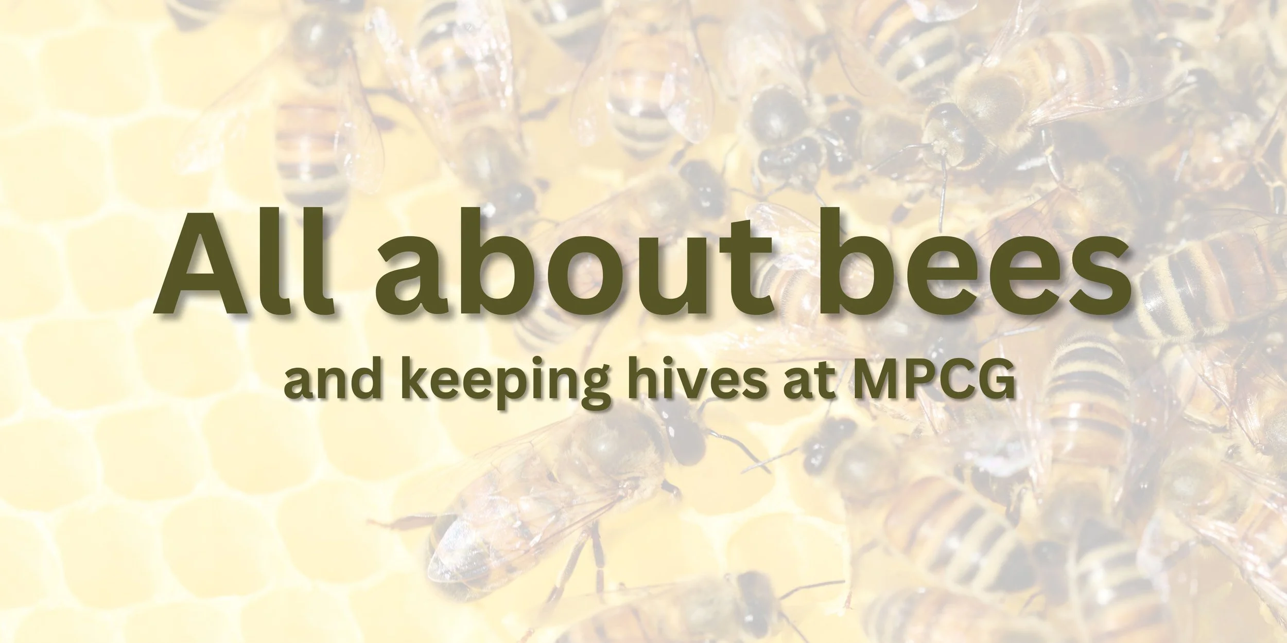 An image of a honeycomb crawling with bees. In the foreground, the text: "All about bees, and keeping hives at Mounds Park Community Garden."