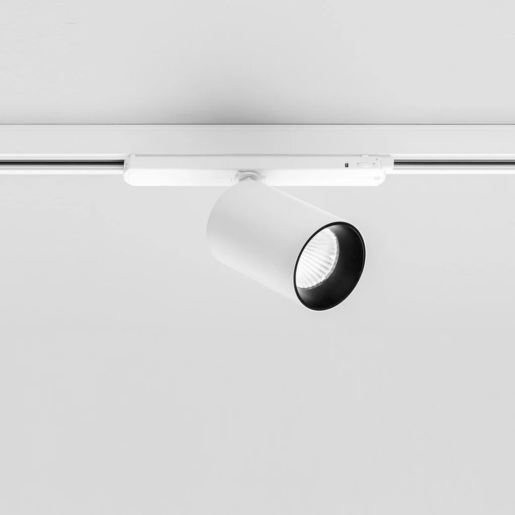 [aqlus] mike grande.jpeg