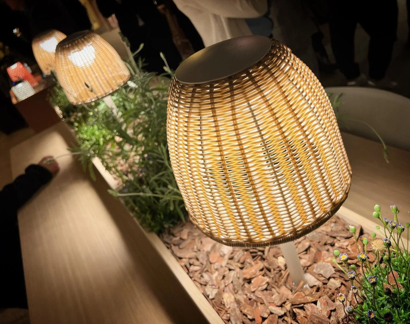 #exteriordesign #vil&aacute;g&iacute;t&aacute;stechnika #kerttervez&eacute;s #kertib&uacute;tor #kertvil&aacute;g&iacute;t&aacute;s