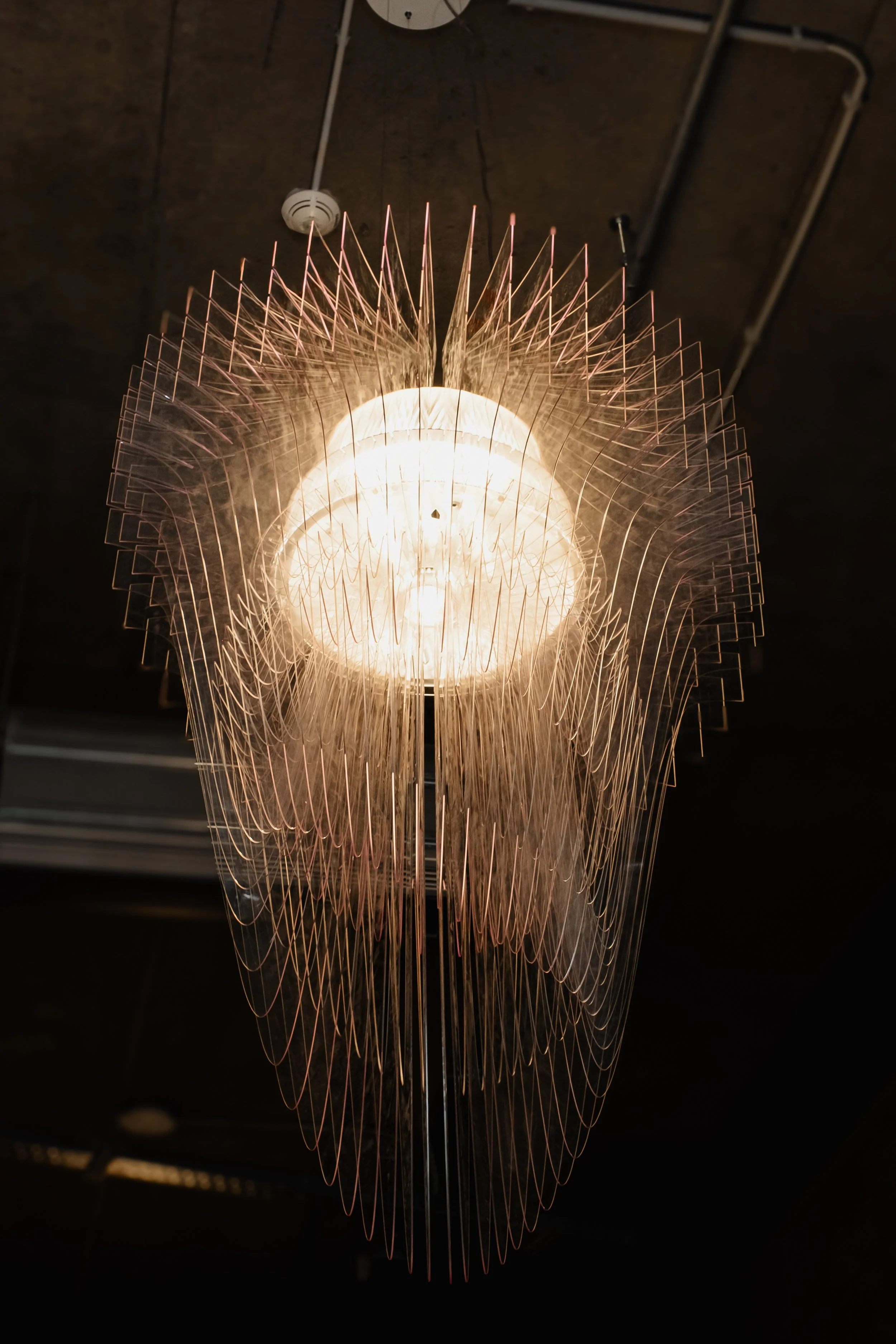 [projekt] be member 1.JPEG