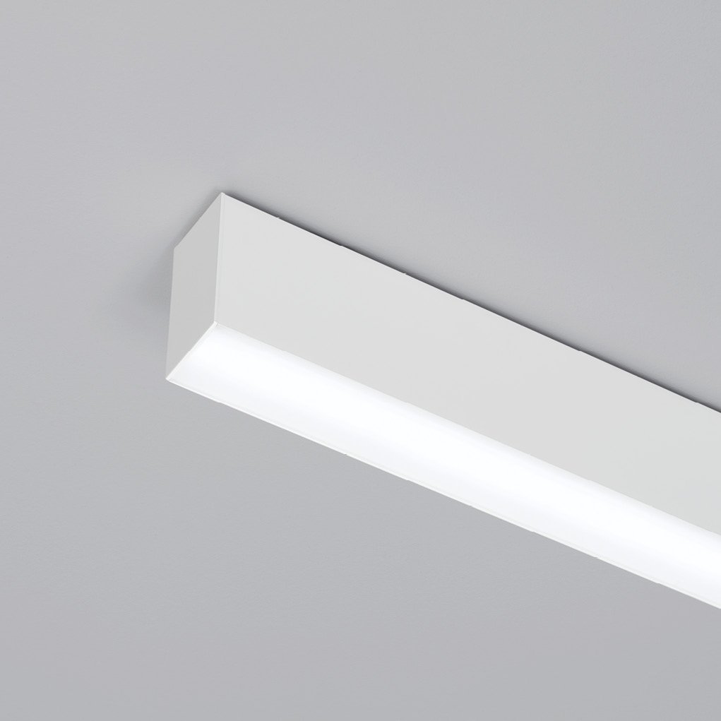 [aqlus] line plafone.jpeg