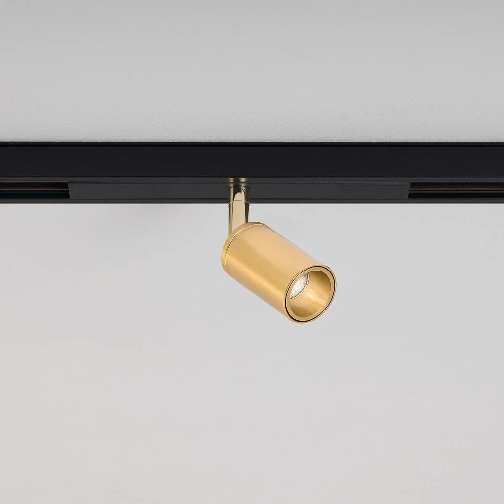 [aqlus] leo 48 minimissimo.jpeg