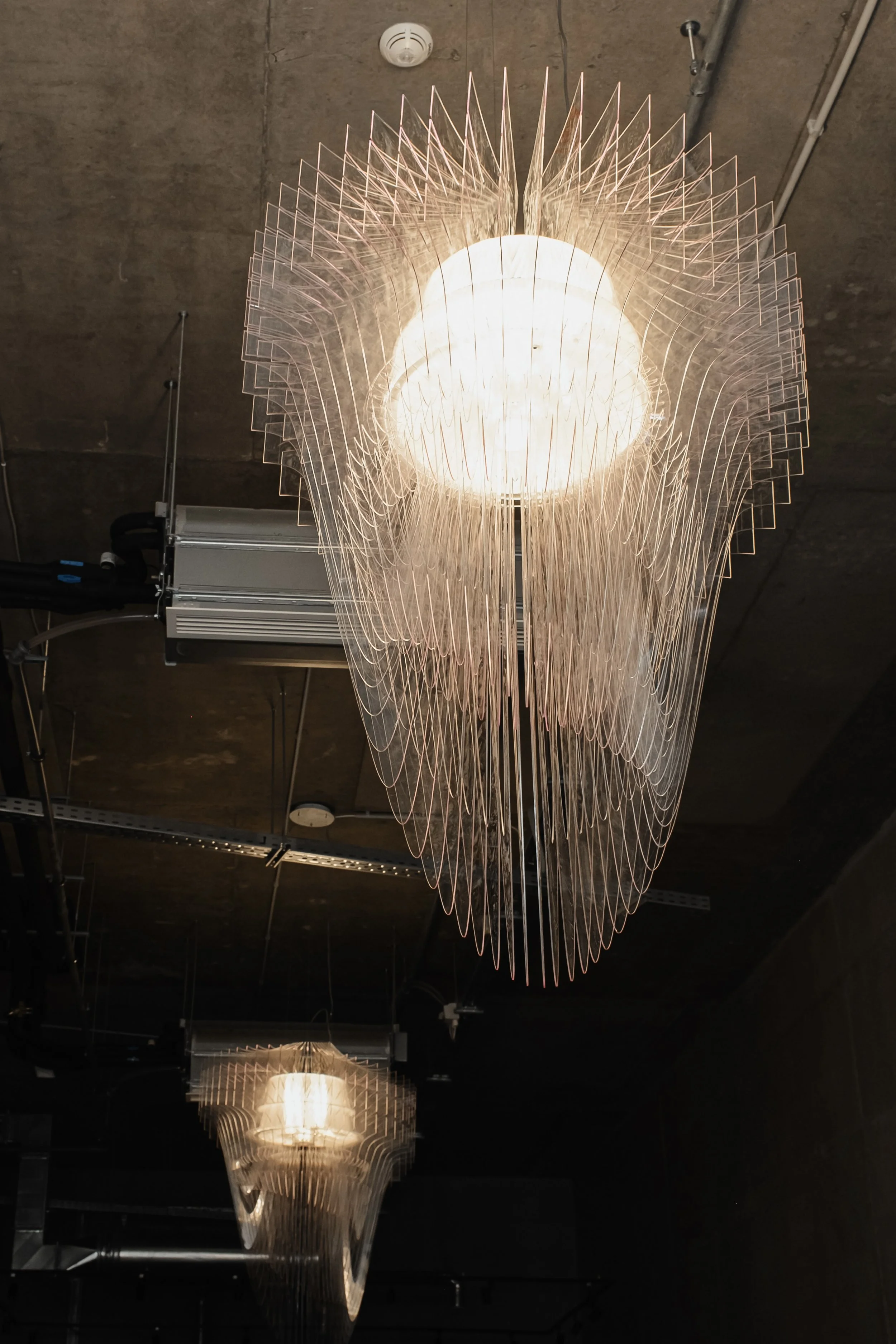 [projekt] be member 3.jpg