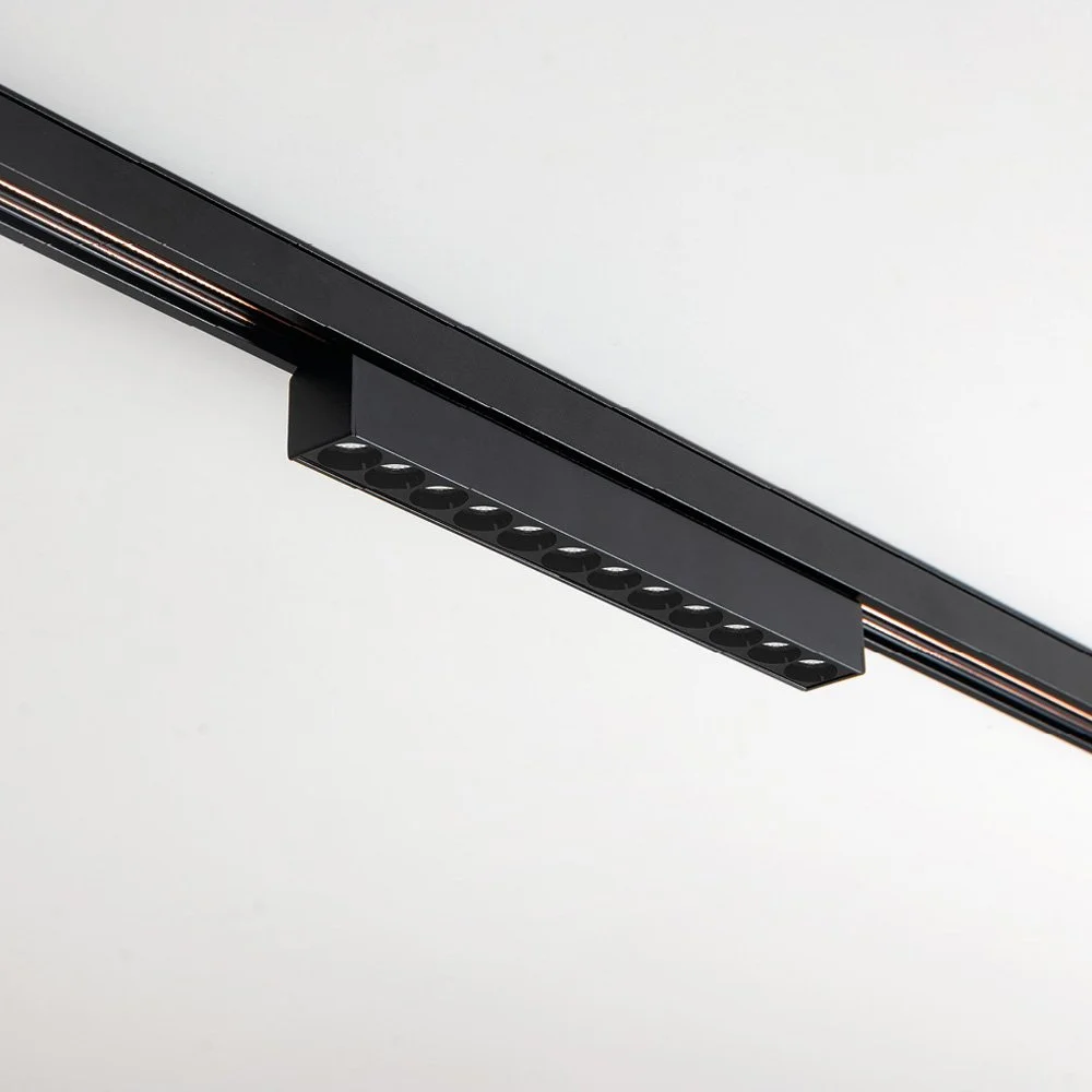 [aqlus] tao 48 12x.jpeg