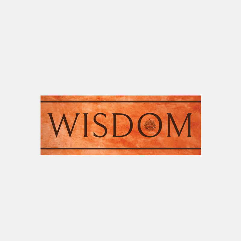 Wisdom Scarf  ⬩ Ochre