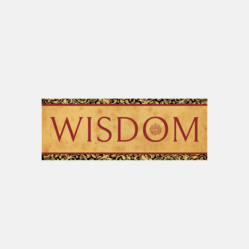 Wisdom Scarf ⬩ Camel