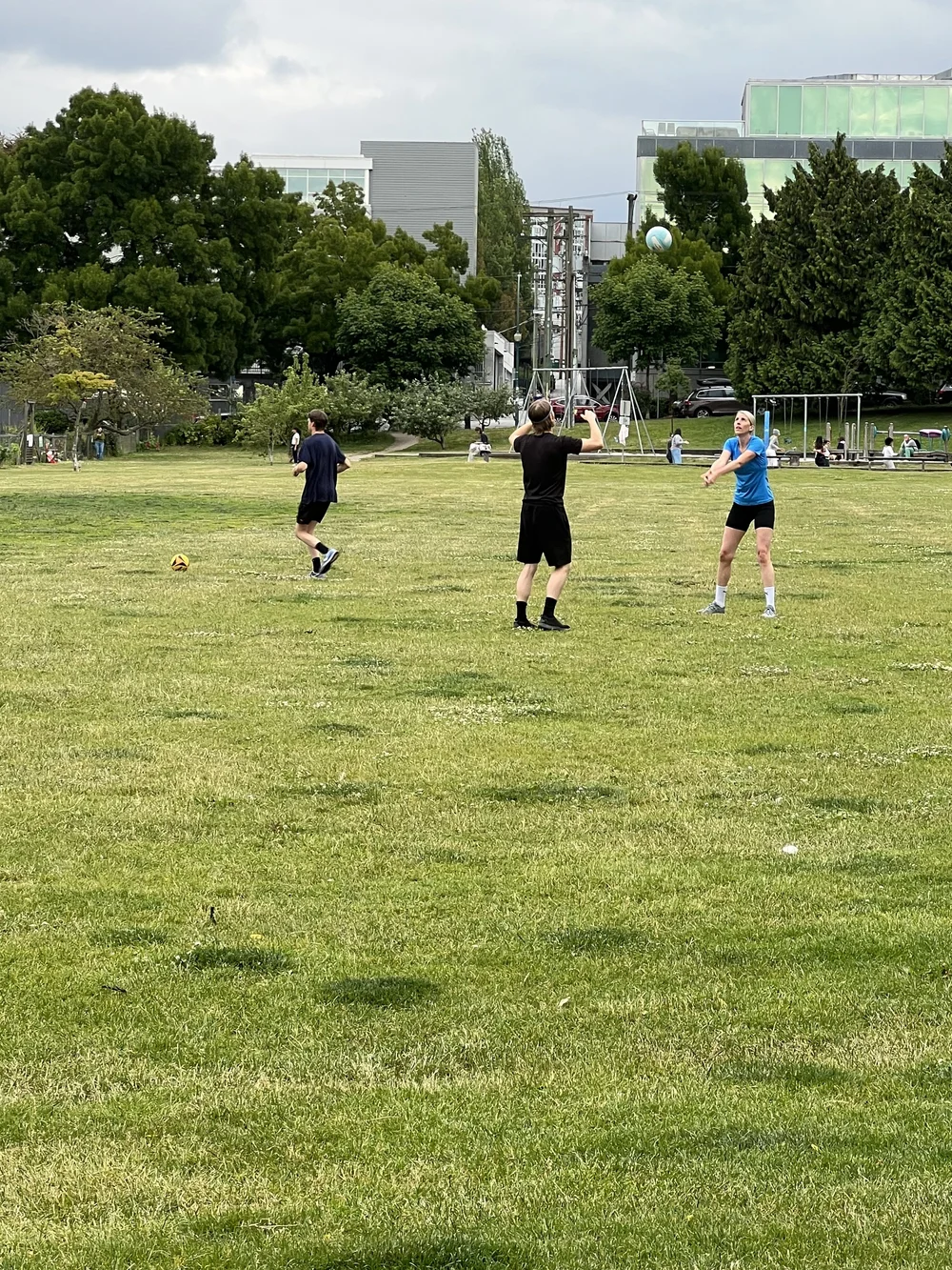 Ball Play in The Park