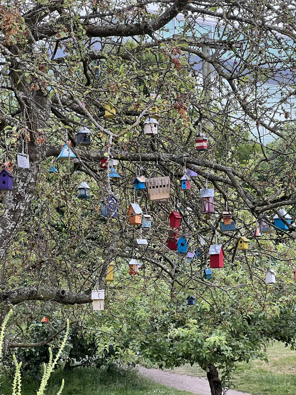 Development Permit Bird Houses