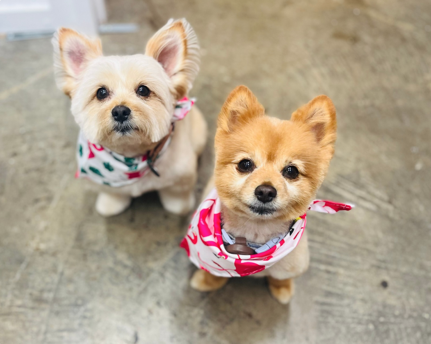 Screen Shot 2025-11-11 at 6.20.34 PM.png