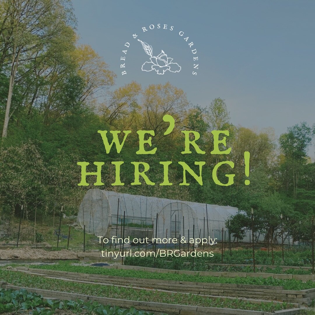 **Position filled! Thank you to all this who applied with us this season!**
We&rsquo;re hiring! We&rsquo;re looking for a motivated individual with farm experience to help us this growing season! Please share with any folks who may be interested.🌱 
