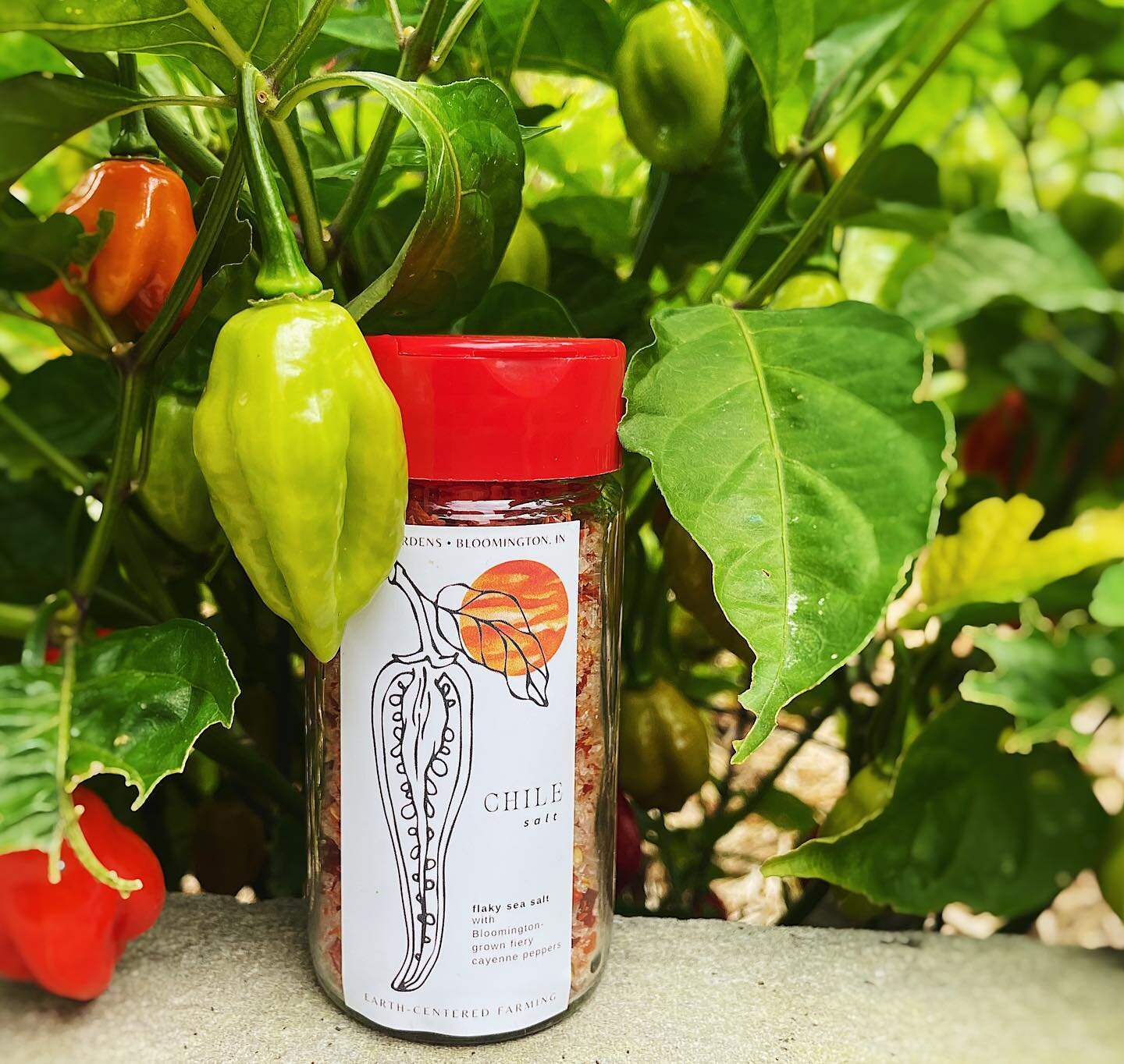 Chili salt abound! Our dried, lovingly grown peppers blended with Maldon flaky sea salt make for a spicy finish to any dish. Sprinkle on top of grilled veggies, meats, popcorn or even focaccia. 🌶️💥 

Available now! 7 days a week @bloomingtonfarmsto