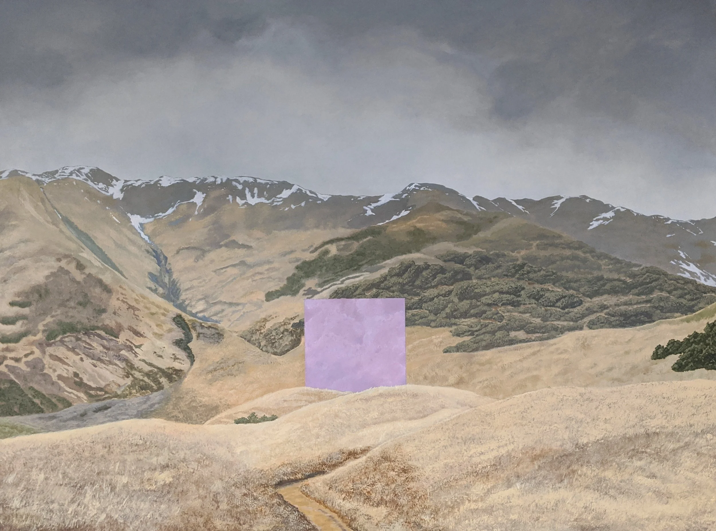 MAUVE STORM
30x40 IN.