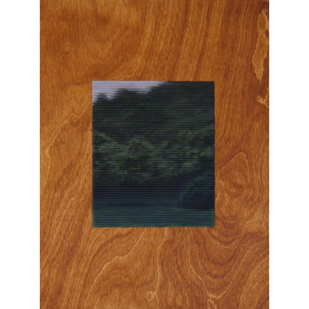 Sea of Green