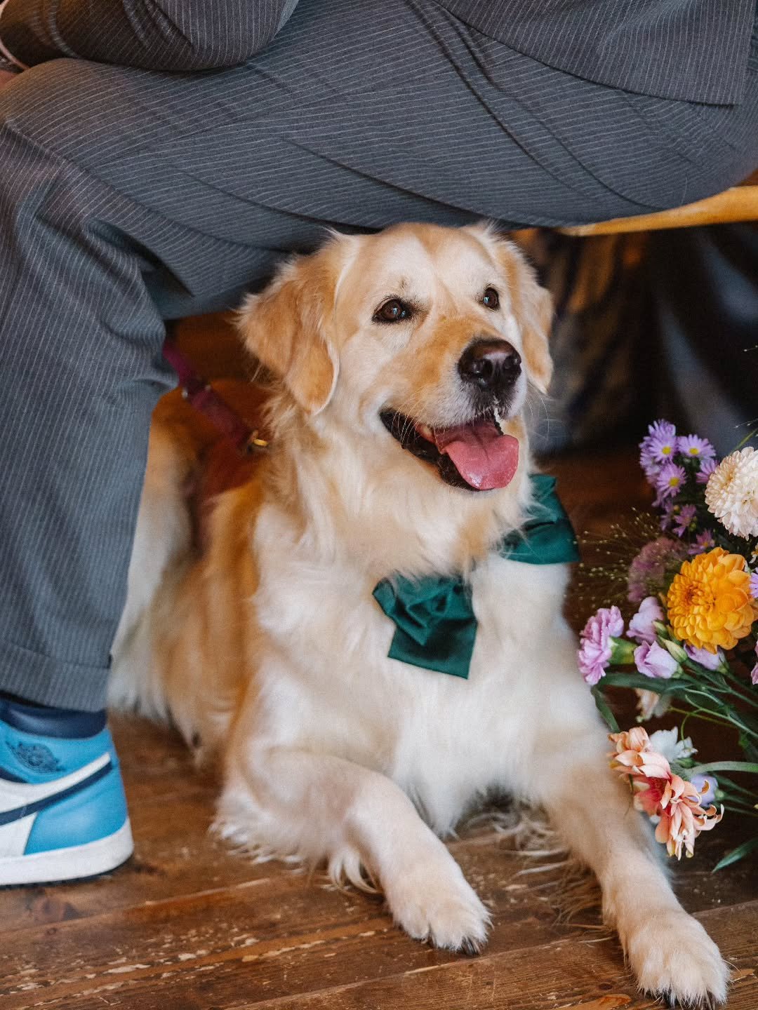 Chez Palais d&rsquo;&Eacute;den, les mariages se c&eacute;l&egrave;brent aussi avec ceux qui font vraiment partie de la famille&hellip; nos animaux.

Qu&rsquo;il s&rsquo;agisse d&rsquo;un chien d&rsquo;honneur, d&rsquo;un chat curieux ou d&rsquo;un c