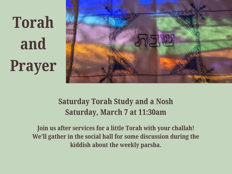 Torah and a Nosh website (2).png