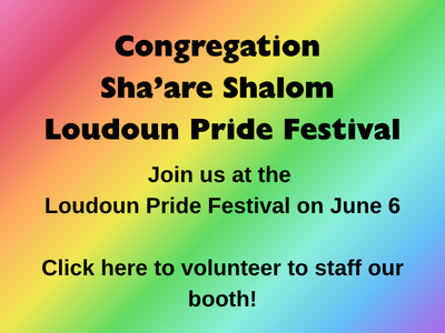 CSS at Loudoun Pride website.png