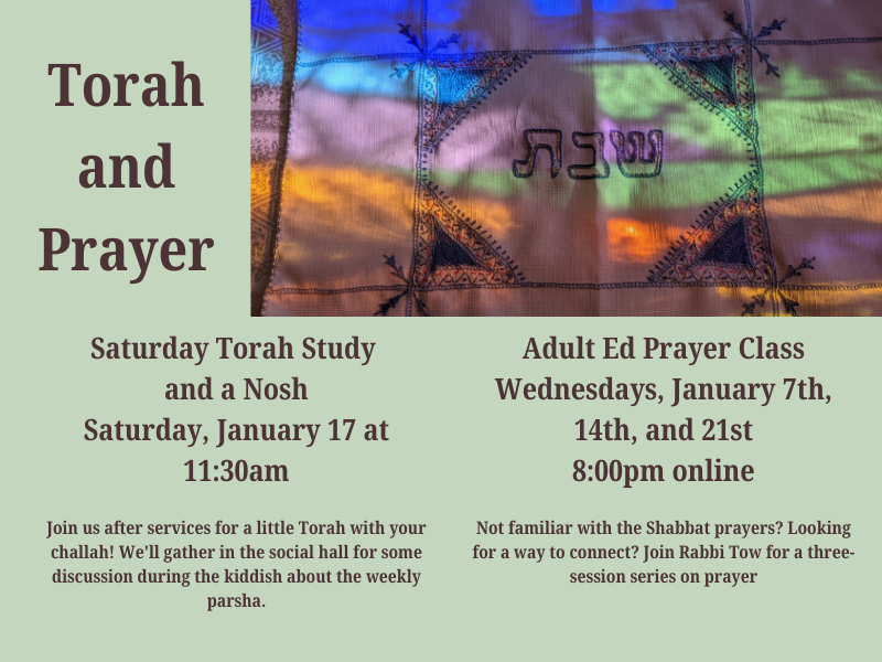 Torah and a Nosh website (1).png