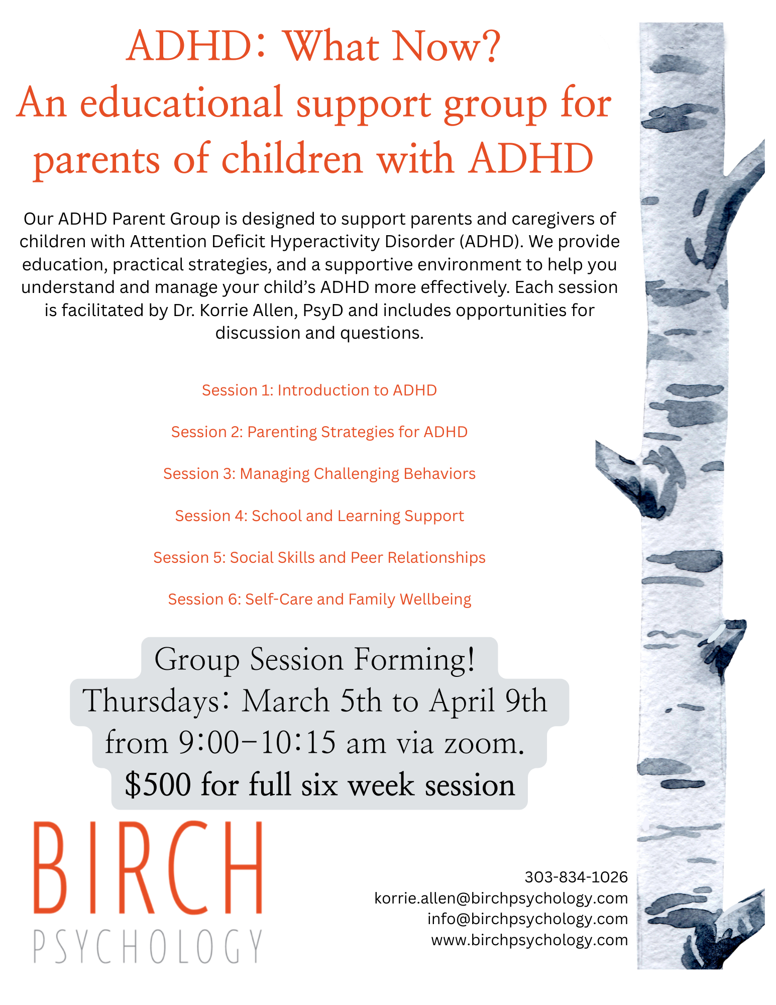 Parent ADHD Group — Birch Psychology