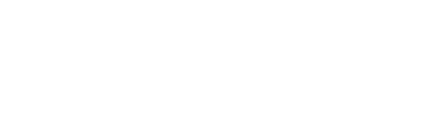 Dana Hatch Coaching and Consulting 