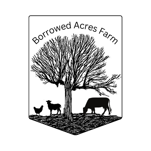 Borrowed Acres Farm