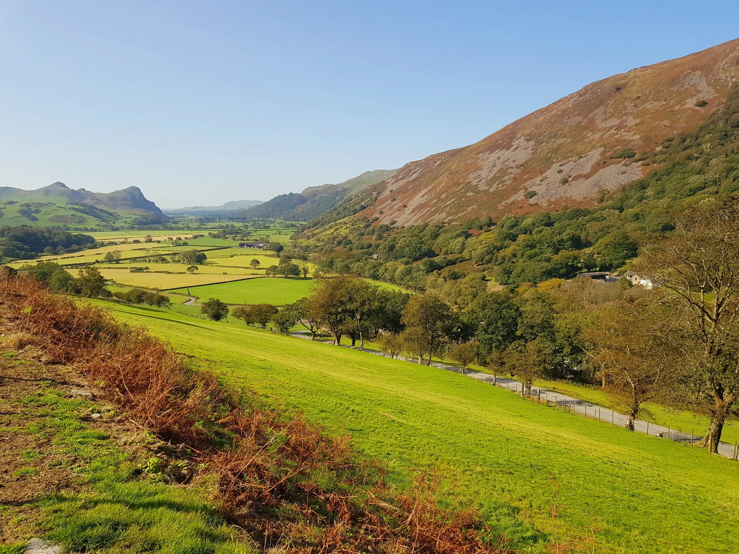 View of the valley from a path just behind cottage. Glan Cader is snuggled behind the trees in the right hand side of photo
