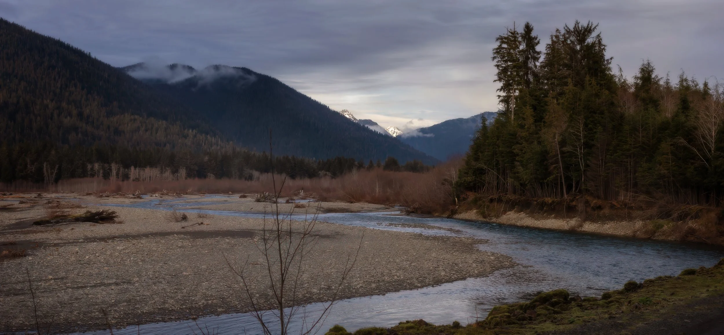 Landscape Quinault.jpg